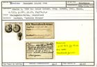 Karteikarte zum Holotyp von Rosalina fasciata Stache, 1864